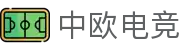 中欧电竞-官方电竞行业引领者